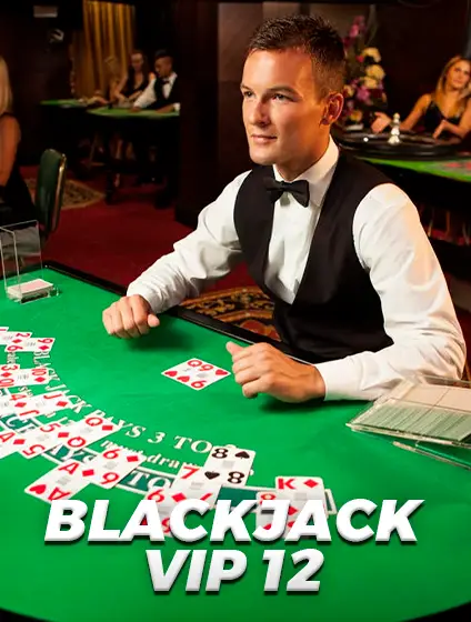 blackjack vip 12 - tiranga games
