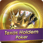 Texas Holdem Poker Online Game - Official Tiranga Games